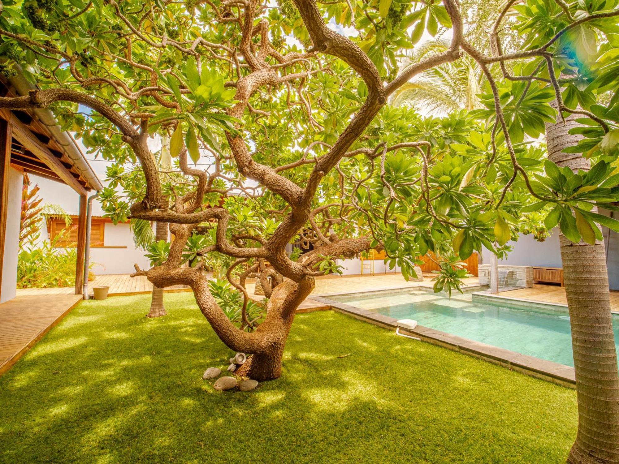 La Kaz Veloutier - Villa 4 Chambres Avec Piscine La Saline Le Bains Luaran gambar
